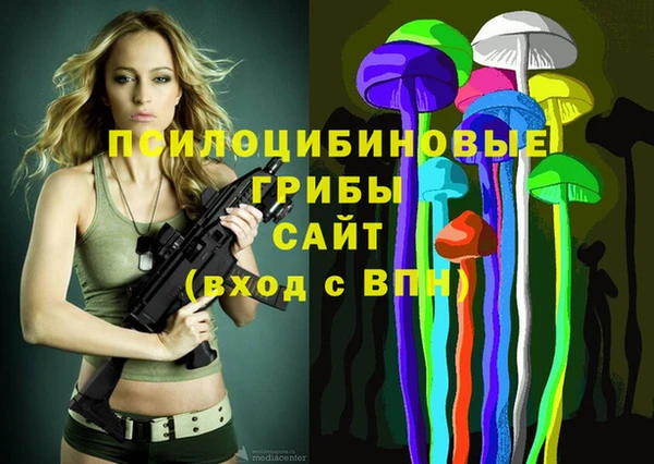 a pvp Верея