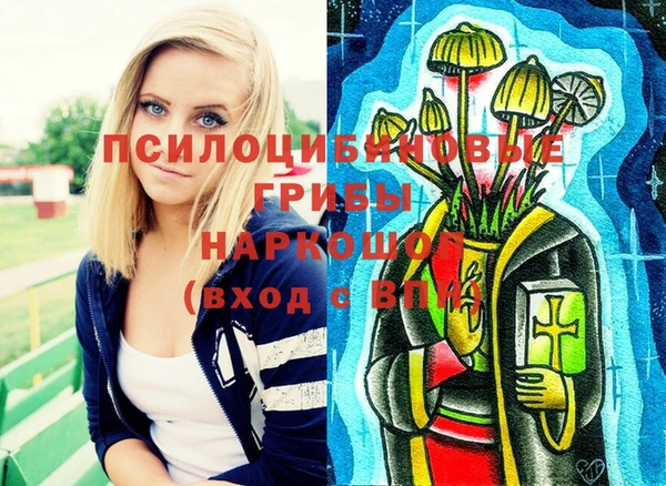 a pvp Верея