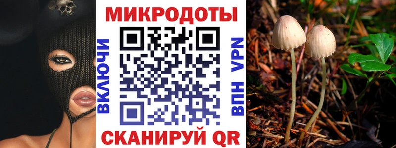 Галлюциногенные грибы прущие грибы  Касимов 